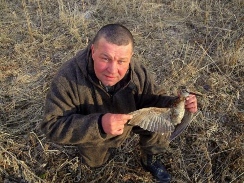 Томский вальдшнеп