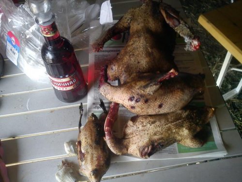 охотники поймут