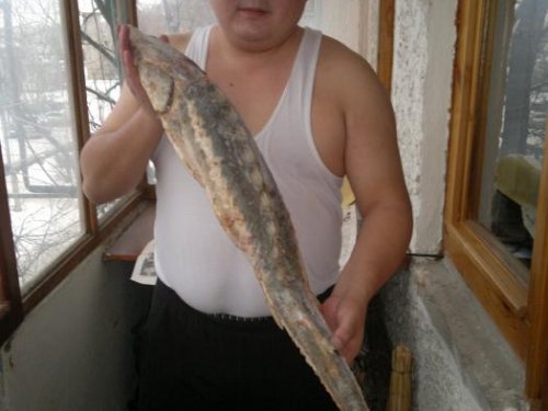 Уха