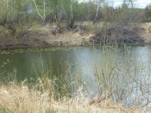 Уень 2012.Весна 18.05.12.