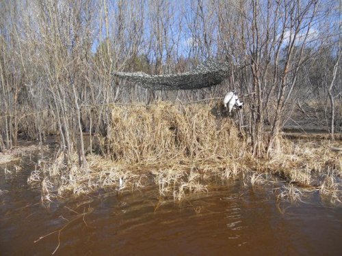 Первая зорька в этом году