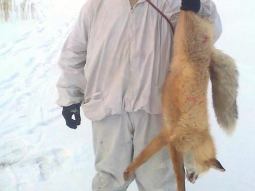 ПЛУТОВКА