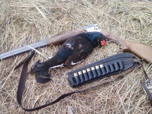 4-й.