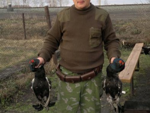 Открытие охоты на косача весна 2012