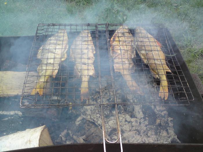 окуньки