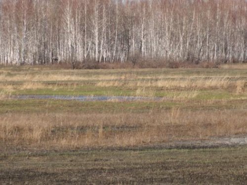 скрадок и разлив
