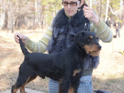 Герд