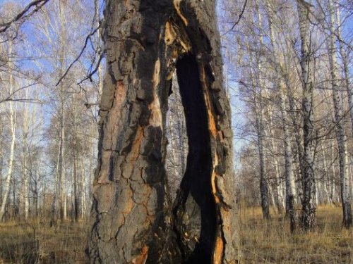 Совсем старая