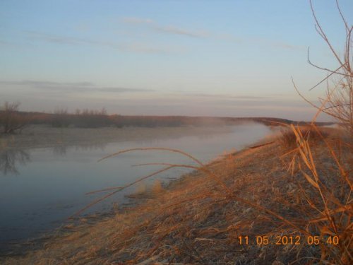 раннее утро!