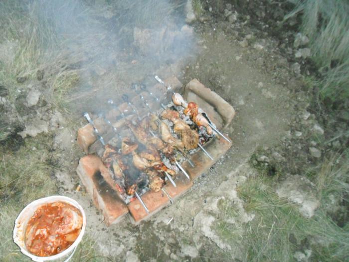 шашлычки)))