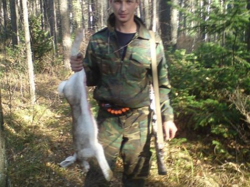 охота на зайца