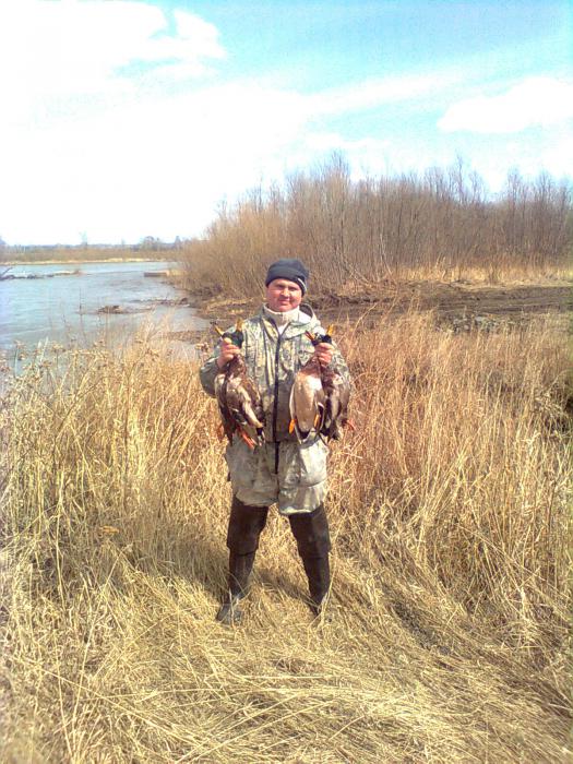 весна 2012