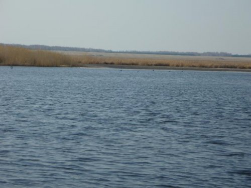 Залив.Весна2012.
