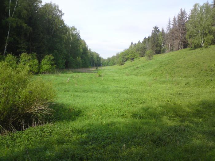 тупик
