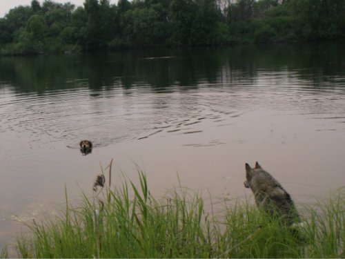 Уроки плаванья 1