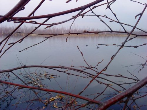 красота