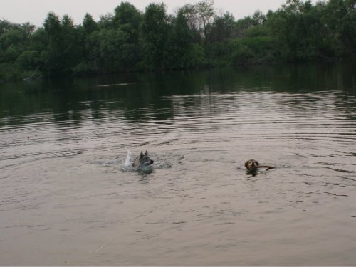 Уроки плаванья 2