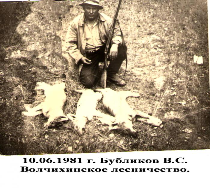 Дед взял трёх волчат на "подвывку"