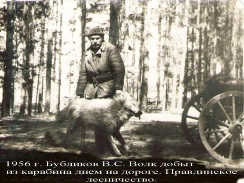 1956 год. Алтайский край, с.  Волчиха