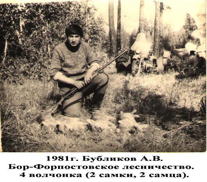 Отец, на "вабу", из мц 21-12 добыл 4 волчонка.