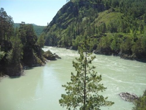 Катунь