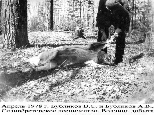 1978 год. 