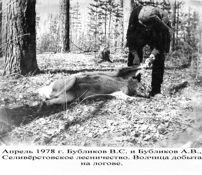 1978 год. 