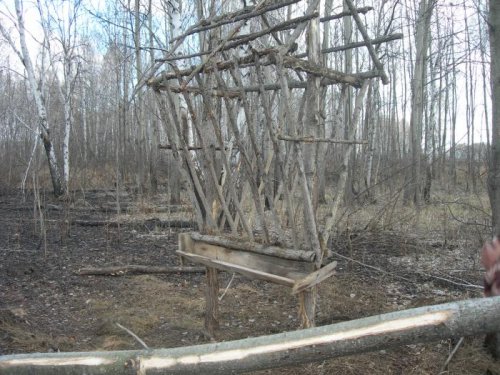Кормушка участок "Черный борок"