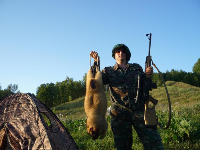 Дождался