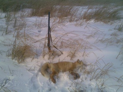 первая в сезоне