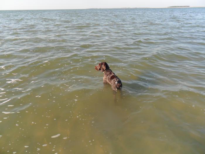 Нихрена себе сколько воды.