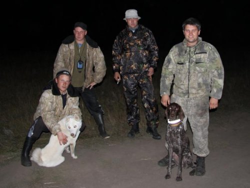 Барсук осень2011 Ордынка