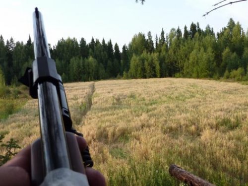 Ждем мишу или хрюна.
