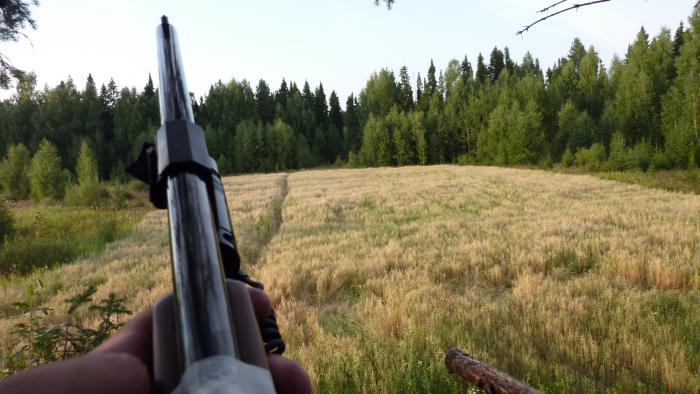Ждем мишу или хрюна.