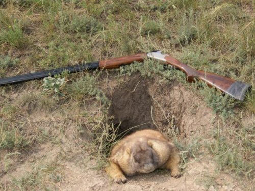 Натюрморт
