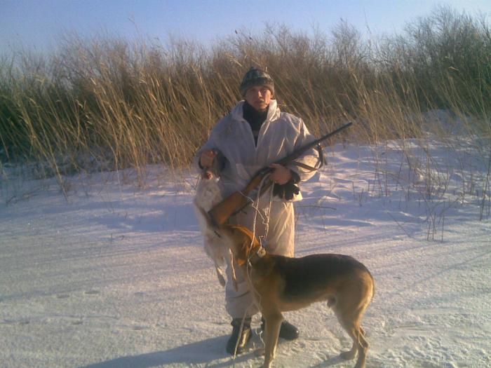 декабрь 2010