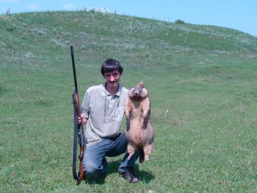 Сурочег
