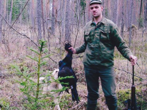 Из под собак.