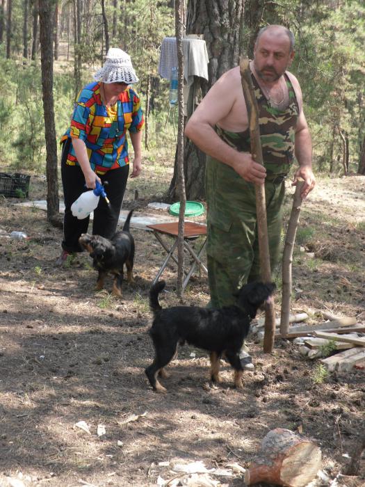 На отдыхе в лесу.