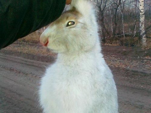 осень 2010