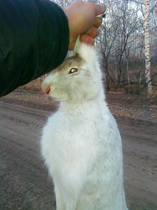 осень 2010