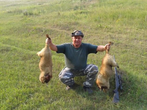 Выскочил сегодня на вечерку.