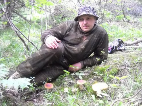 Грибочки