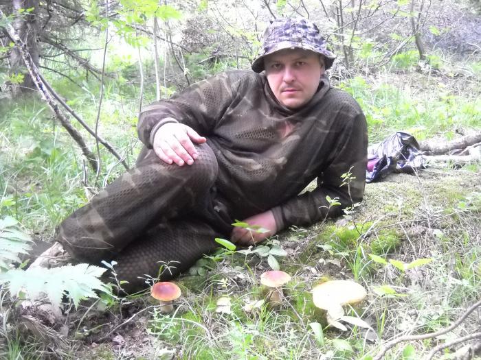 Грибочки