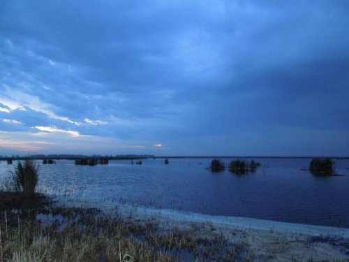Зорька.