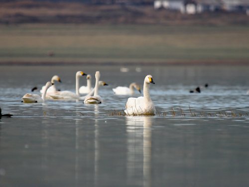 Озера гладь