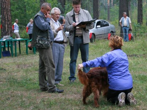 Алтайская краевая выставка собак 04.08.12