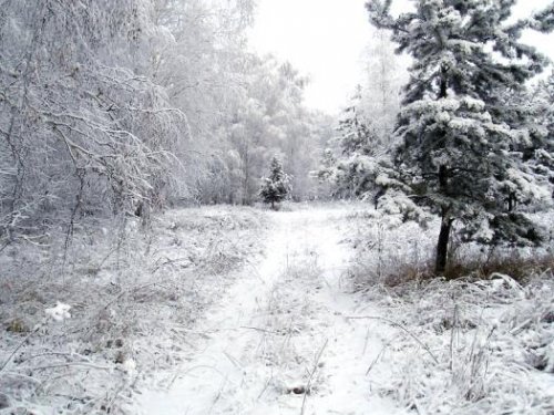 Зауралье