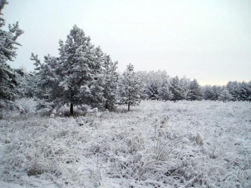 Курганская обл