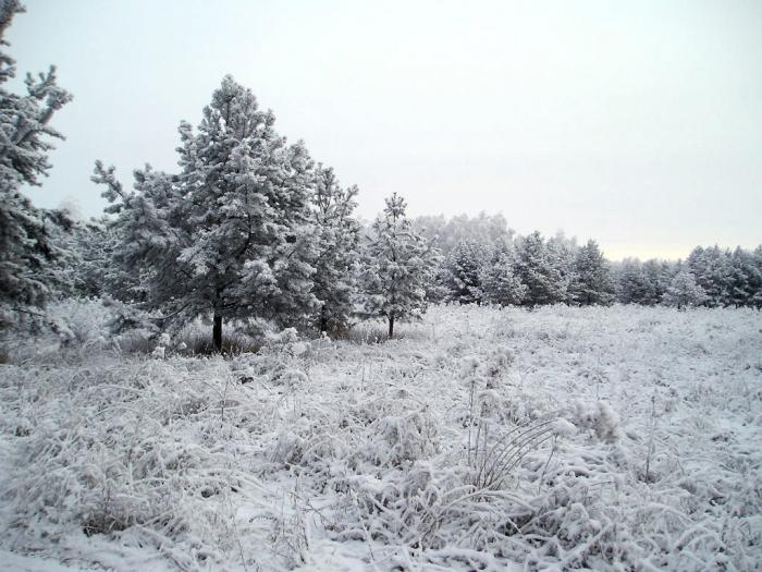 Курганская обл